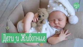 Домашние Животные и Дети в Квартире | 5 правил для Родителей | Family is...