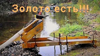 Золото в щетках 4