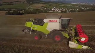 Claas Lexion 560 + Claas Trion 660 - harvest