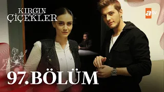 Kırgın Çiçekler 97. Bölüm @atvturkiye