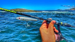 USE ESSA TECNICA PARA PEGAR PEIXES NAS PEDRAS DO MAR! Muitos peixes assim!!!