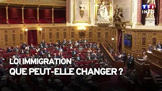 Loi immigration : que peut-elle changer ?