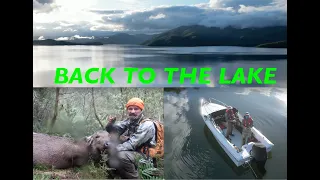 Back to the Lake - (Sambar Deer, Trout and boating Lake Dartmouth)