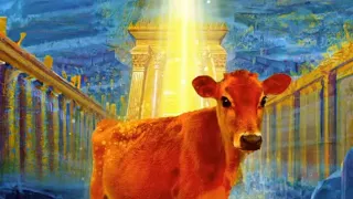 The Red Heifer & The Sign Of The Times