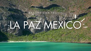 Skip Los Cabos! Do these 5 things in La Paz Mexico instead!