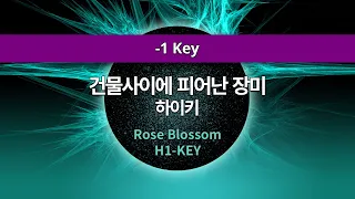 [MR노래방ㆍ-1 Key] 건물 사이에 피어난 장미 - 하이키 ㆍRose Blossom - H1-KEY ㆍMR Karaoke