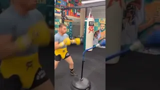 Canelo Alvarez watching Golf while training for Bivol