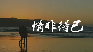 庾澄庆 - 情非得已 [動態歌词Lyrics]