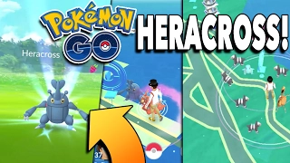 HERACROSS CAUGHT & HOUNDOUR NEST! Pokemon GO Rare Gen 2 Regional Exclusive?!