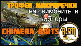 Трофеи микроречки на свимбейты и воблеры CHIMERA BAITS