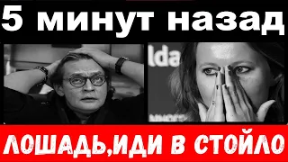 5 минут назад / "Лошадь, иди в стойло" - Домогаров "размазал" Собчак и её маму