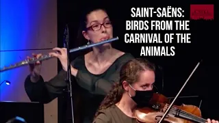 Saint-Saëns: Volière from the Carnival of the Animals | #flute #solo