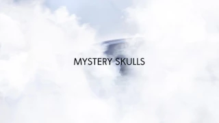 Mystery Skulls - Follow You [Official Audio]