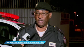 Homem pula muro de galpão e é atacado por dois rottweilers