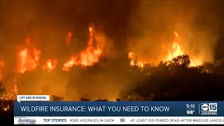 Wildfires and home insurance: what Arizonans need to know