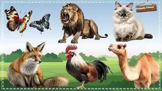 Cute Little Animals Making Funny Sounds: Butterfly, Lion, Cat, Fox, Chicken, Camel