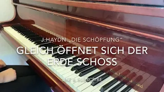 J.Haydn Die Schöpfung „Gleich öffnet sich der Erde Schoß“ Piano accompaniment