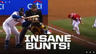 Incredible MLB bunts!! (9 minutes of insanely satisfying bunts!)