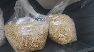 Bulk Popcorn tek. 18 pound bags. Mycology