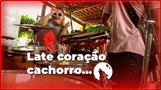 LATE coração CACHORRO - DRUMCAM FORRÓ