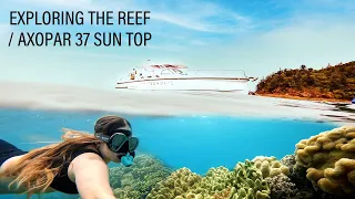 Whitsunday Islands Adventure | Axopar 37 Sun Top