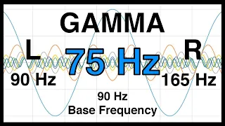 75 Hz Pure BINAURAL Beats ▶️ GAMMA Waves [90 Hz Base Frequency]