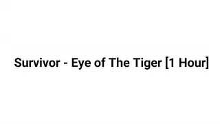 Survivor - Eye of The Tiger [1 Hour]