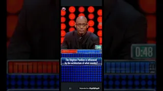 The Chase Original App: 30 Steps