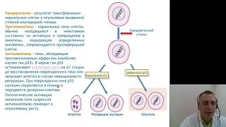 Патанатомия 5.Общая патоморфология опухолевого роста