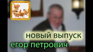 освещение курятника и его вентиляция #куры