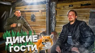 В ЗЕМЛЯНКЕ У РЕКИ ГОСТИ | ПРОВЕРЯЮ ЗЕМЛЯНКУ НА ТЕПЛОПОТЕРИ ТЕПЛОВИЗОРОМ | ПАША ПОМОГАЕТ С РЕМОНТОМ