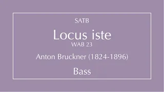 Locus iste - Bruckner - Bass