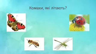 Дидактична гра "Комахи, які літаютьта повзають"