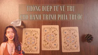 Thông điệp từ Vũ trụ cho hành trình phía trước? Bạn cần nghe điều gì? | Trang the Sirian