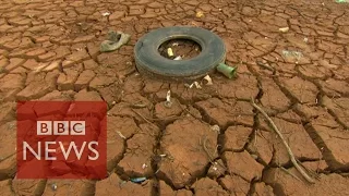 'Brazil drought linked to Amazon deforestation'