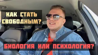 Дело не в веществе / Вся правда о зависимости / Главный фактор развития наркомании и алкоголизма