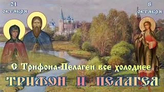 Праздник каждый день: Трифон и Пелагея 🍂 21 октября #православие #народныйпраздник #житиясвятых