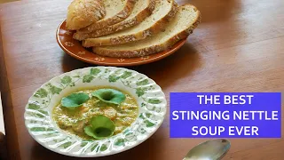 THE BEST EVER STINGING NETTLE SOUP RECIPE