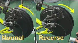 How to reverse the gearless high-power motor on an electric bike? (principle)