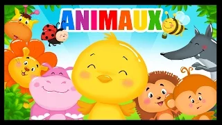 Apprendre les animaux et leurs cris en français avec les Titounis!