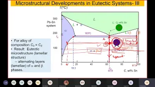 Microstructure in Eutectic Systems