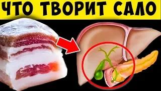 А что Будет, если Есть Сало Каждый день?