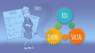 The biopsychosocial model - Explanation of chronic pain disorders