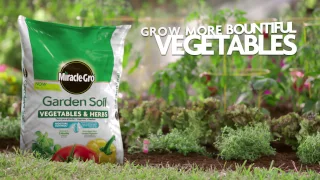 How to Get a Bigger Harvest Using Miracle-Gro® for Vegetables & Herbs for In-Ground Gardening