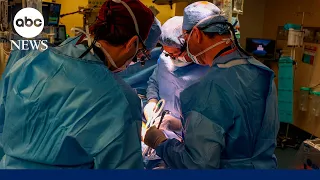 Surgeons transplant world's 1st genetically edited pig kidney into living human