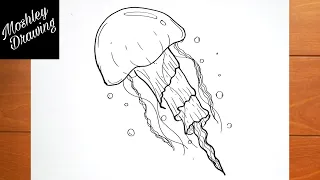 How to Draw a Jellyfish Step by Step