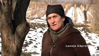 Dosar România: Calvarul de la marginea satului - despre violenţa domestică (@TVR1)