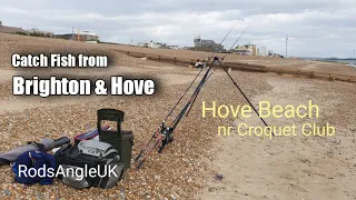 Catch Fish from Brighton & Hove: HOVE near Croquet Club