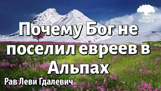 Почему Б-г не поселил евреев в Альпах. Рав Леви Гдалевич