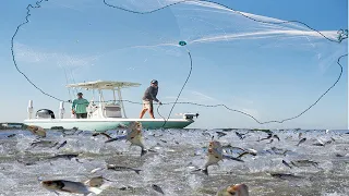 Unbelievable Cast Net Fishing Caught a lot of Herring in the River - Big Cast Net Fishing